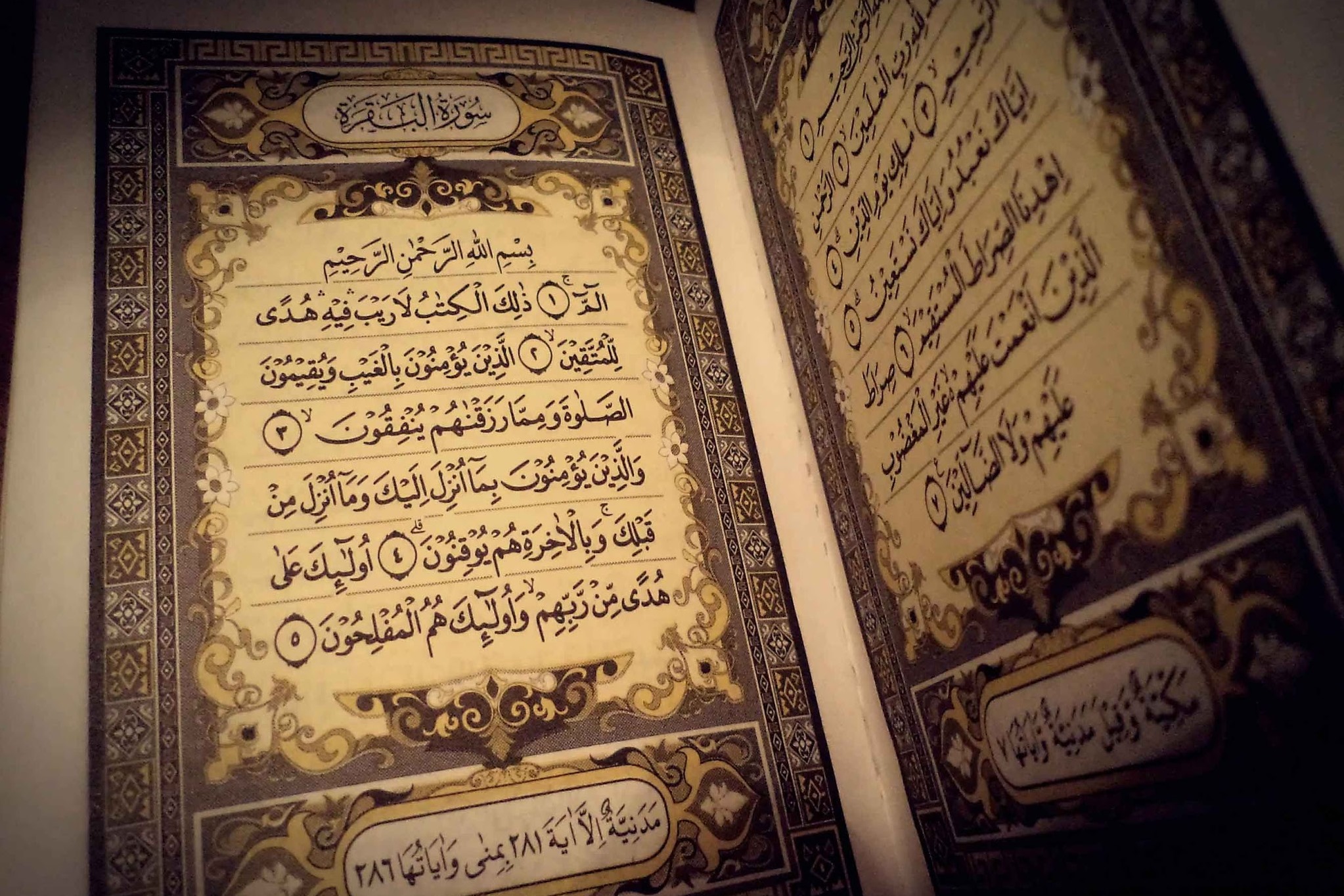 La Luce del Corano-Esegesi del Sacro Corano,vol 1 - Parte 12 - Sura Al-Bagharah - versetti 28-29