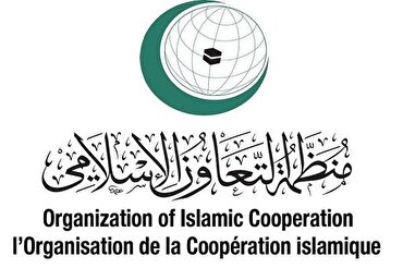اسلامی تعاون تنظیم کا فلسطین رکنیت ویٹو کرنے پر اظھار افسوس