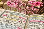 关注《古兰经》通讯社斋月特别节目“春天里的春天”