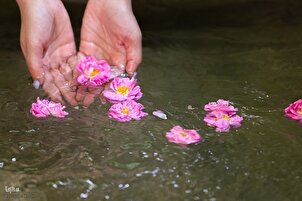 Rosenwasserdestillation in Niyasar / Iran