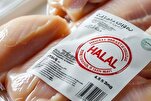 Focus on Halal Certification Expected to Expand Russia’s Access to Muslim Markets
