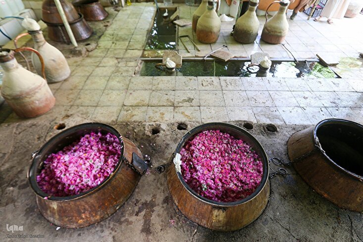 Destilación de agua de rosas en Niyasar,Irán