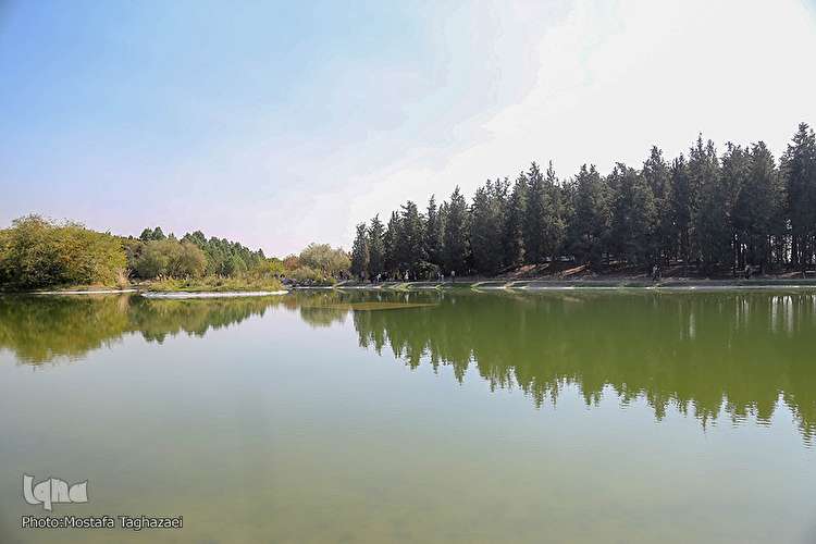 باغ گیاه‌شناسی ملی ایران