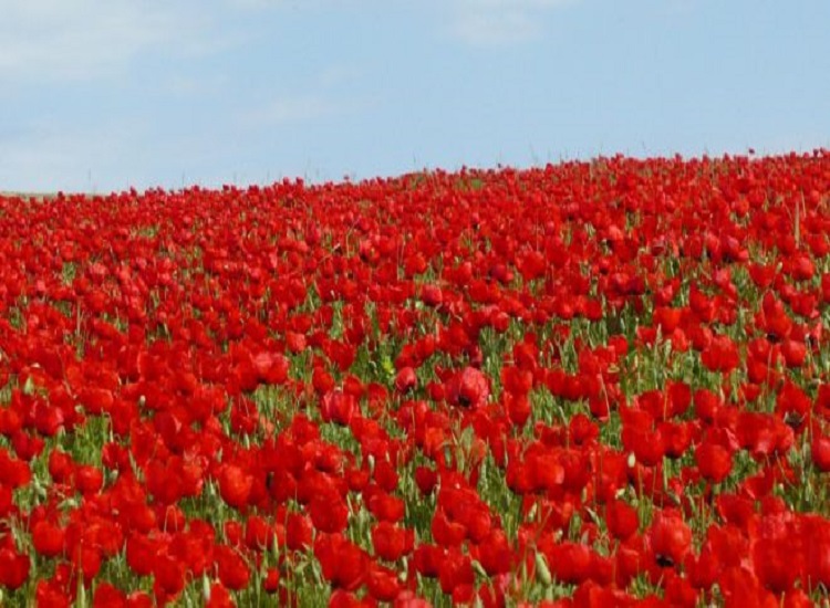 معرفی جاذبه&zwnj;های دیدنی و گردشگری میامی