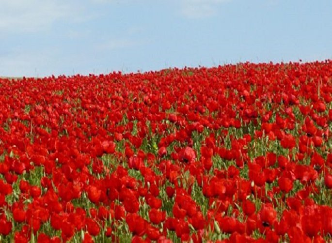 معرفی جاذبه‌های دیدنی و گردشگری میامی