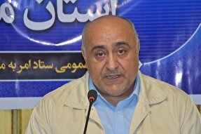 بسیج؛ یک فرهنگ و الگوی تمام عیار فرامنطقه‌ای