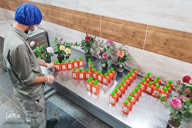 جهادگران روز طبیعت به دیدار بیماران کرونایی رفتند