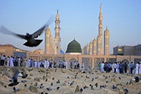 صوت | سلام من به مدینه