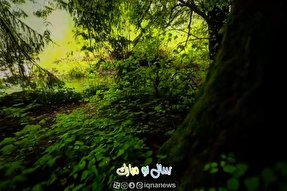 ویدئوکست | خاطر خود شاد بدارید و ره غم مسپارید