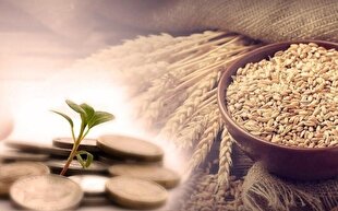 دفتر آیت‌الله مظاهری مبلغ زکات فطره و کفاره سال ۱۴۰۳ را اعلام کرد