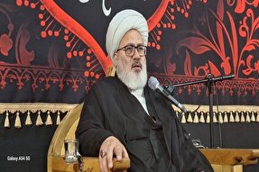 سبک زندگی حضرت زهرا(س) برگرفته از قرآن بود