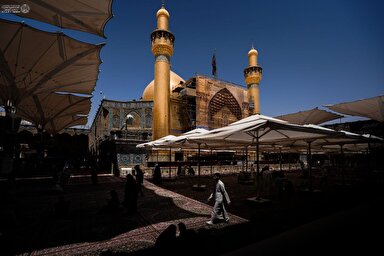 استوری موشن | حب علی(ع) اجننی