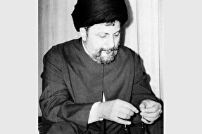 پادکست | زمانی که تفاوتی بین انسان و درخت نیست