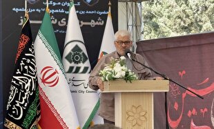 اربعین تجلی تمدن‌سازی اسلامی در برابر نظام سلطه است