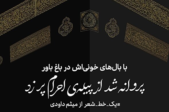 طرح | پیله احرام