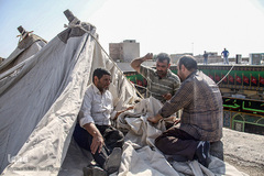 آيين سنتي سياه پوشان و برپايي خيمه عزاداري در آستانه ماه محرم - سمنان
