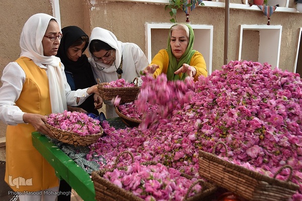 جشنواره گل و گلاب محمدی - سمنان‎‎
