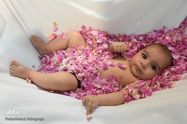 سرزمین سنت های شیرین - آیین سنتی گل غلتان نوزادان - سمنان