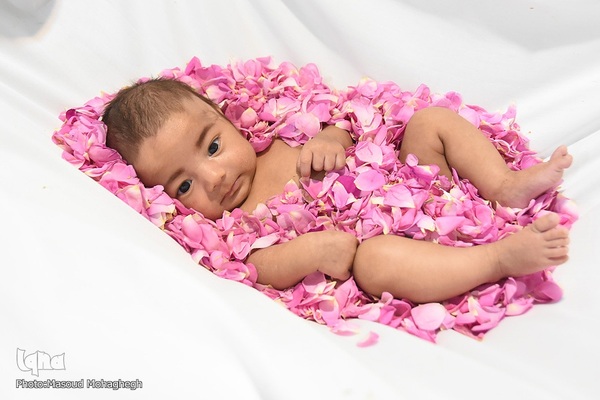 سرزمین سنت های شیرین - آیین سنتی گل غلتان نوزادان - سمنان