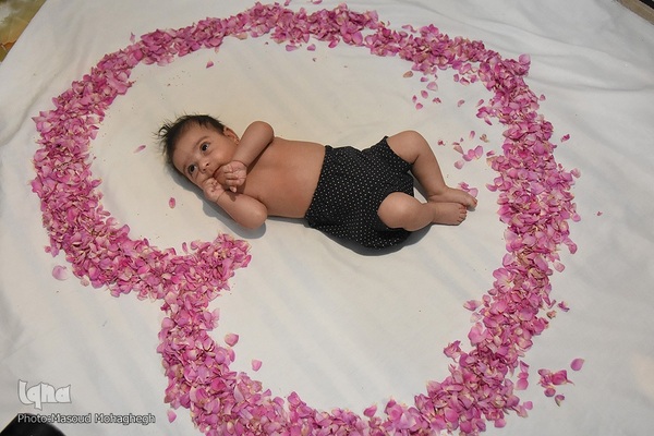 سرزمین سنت های شیرین - آیین سنتی گل غلتان نوزادان - سمنان