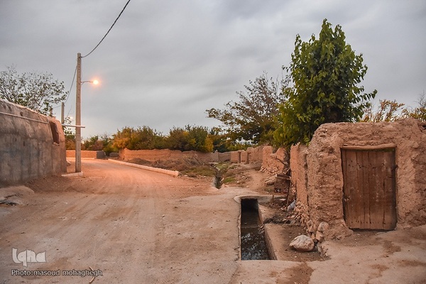 برداشت سنتی فلفل روستاهای بخش بیارجمند شاهرود‎‎