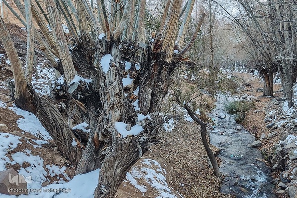 طبیعت زمستانی شهمیرزاد در آخرین روزهای پاییز