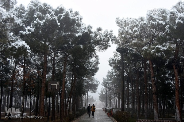 برف، رحمت الهی در سمنان