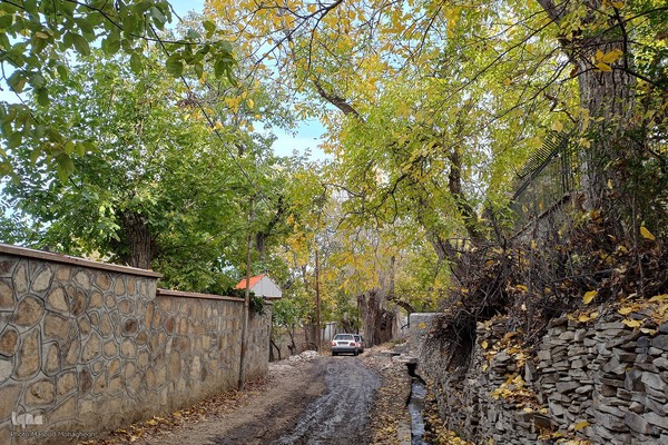 طبیعت پاییزی شهمیرزاد‎