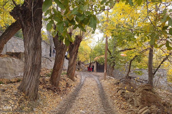 طبیعت پاییزی شهمیرزاد‎