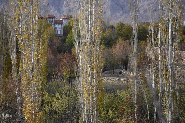 طبیعت پاییزی شهمیرزاد‎