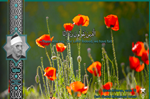 له آل عمران سورې څخه د ؛شحات د تلاؤت په زړه پورې برخه(فیلم)