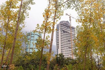 Осенняя природа в лесах Северного Ирана