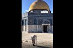 بوڑھی خاتون کی مسجدالاقصی میں ستر سالہ نماز کا ریکارڈ + ویڈیو