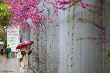 春雨在城市的容颜上轻轻吟唱